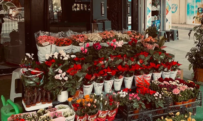 Dveře, které zůstaly zavřené: Příběh jedné matky