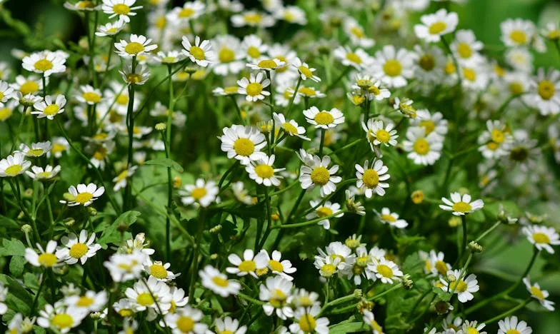 Hlas v čekárně: Příběh o ztrátě, uzdravení a nečekané naději