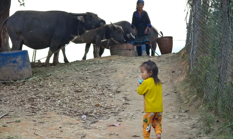 Host ve vlastním domě: Příběh o sourozenecké závisti, penězích a rodinných tajemstvích