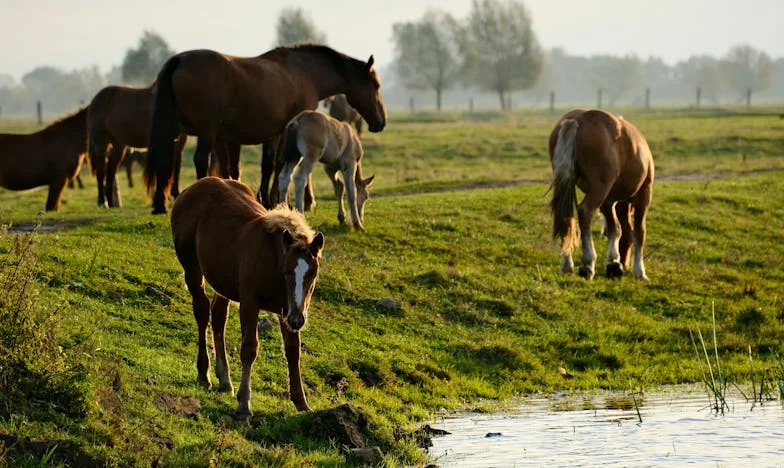 „Jak jste mohli takhle mluvit o vlastních dětech?” – Nedělní oběd, který roztrhl naši rodinu