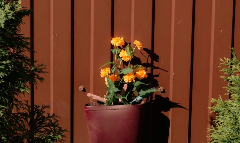 Jedna studená noc v Praze: Jak policista změnil náš osud
