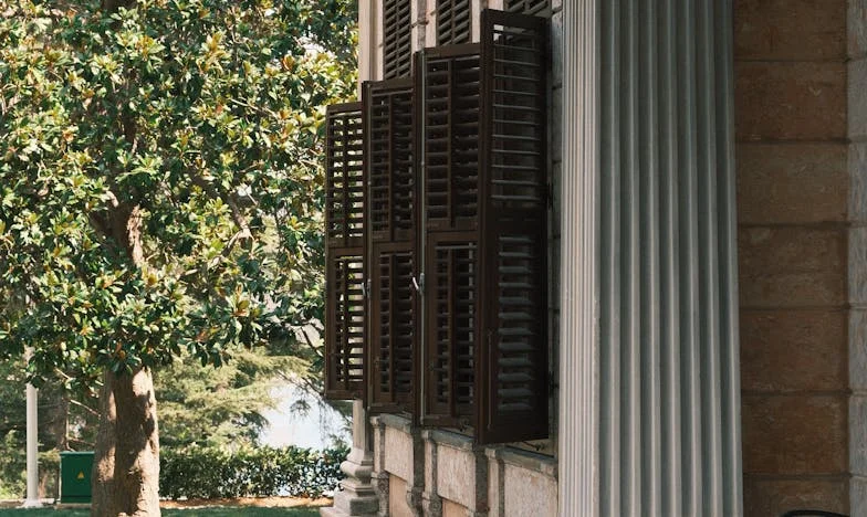 Když mi syn zavolal: Pravda o mé bývalé tchyni, kterou jsem nechtěla slyšet