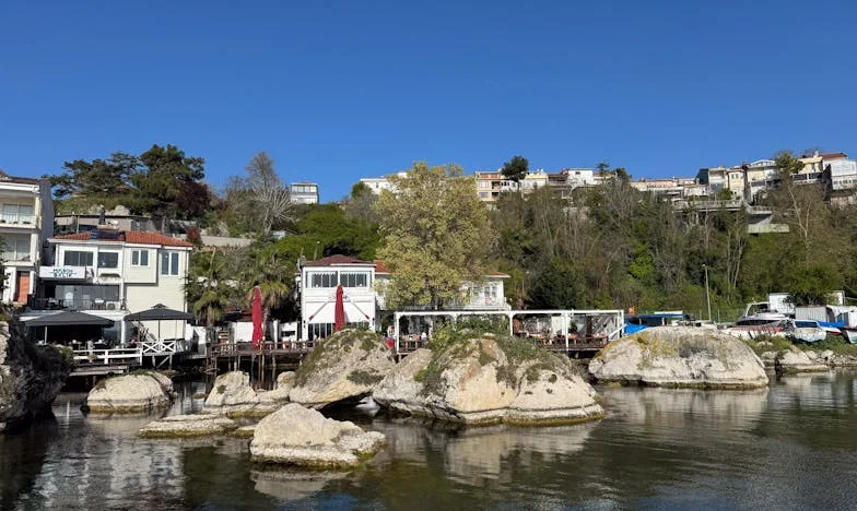 Když se domov stane cizím: Příběh o ztrátě, zradě a hledání nového začátku