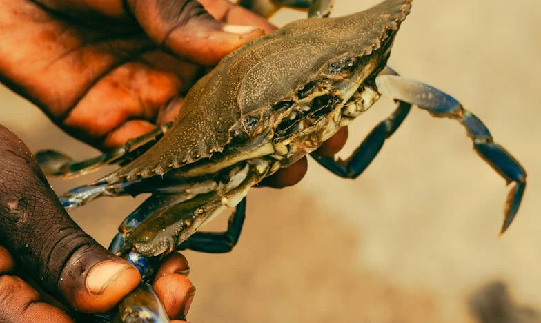 Když se drobky změní v lavinu: Příběh jedné snídaně a rozbité rodiny