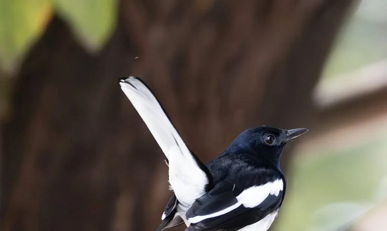 Když tě někdo nemiluje: Můj život s Petrem a 15 znamení, která jsem přehlížela