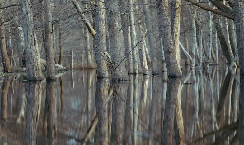 Máma si vybrala nového muže místo vlastní rodiny. Jak jí to mám odpustit?