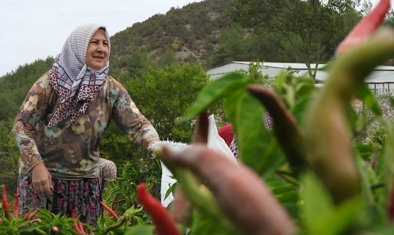 „Mami, nechceš si dát kávu v kuchyni?” – Když se domov promění v cizí místo