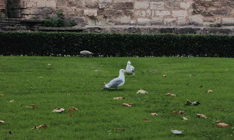Martinovo chování se stalo bodem zlomu: Dlouho jsem vydržela, ale teď musím jednat