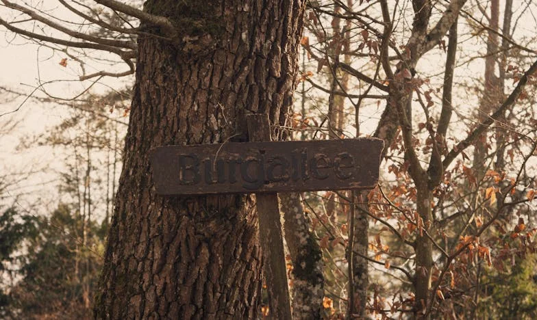Mezi dvěma láskami: Příběh ztracené vnučky