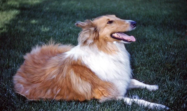 Mezi strachem a láskou: Můžu být oporou své dceři, když sama sotva stojím?