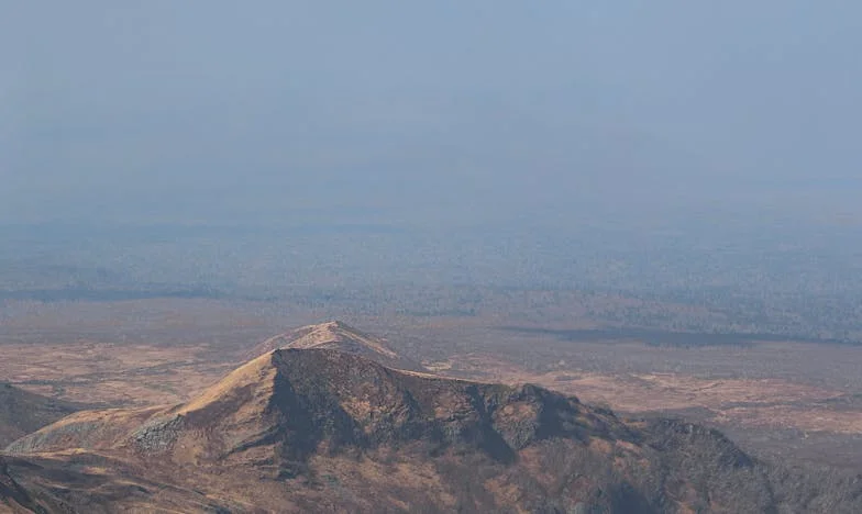 Můj muž mě opustil kvůli jiné. Po patnácti letech stál u mých dveří a prosil o pomoc.