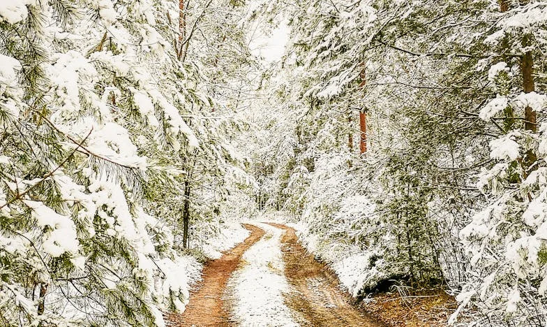 Můj syn mě vymazal ze svého života: Jsem opravdu viníkem?