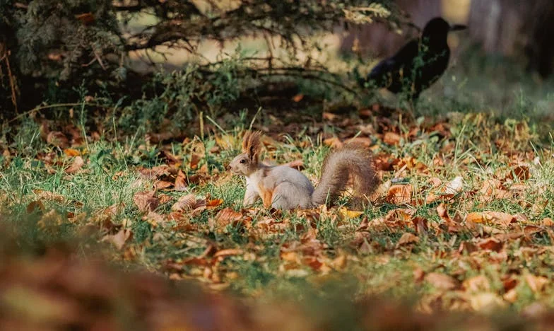 Narozeniny, které všechno změnily: "Proč zrovna u nás?"