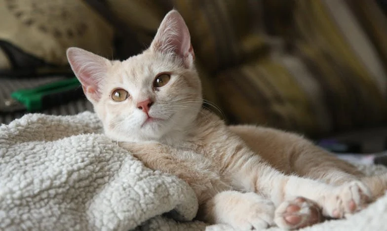 Našel jsem teplejší náruč – příběh zrady, rodiny a hledání sebe sama