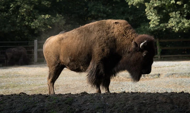 „Nejsi matka, když nejsi doma!“ – Můj boj mezi rodinou a vlastními sny