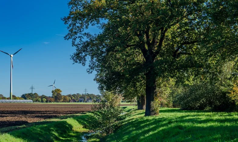 „Nemáš právo nosit naše jméno!“ – Drama s tchyní po rozvodu