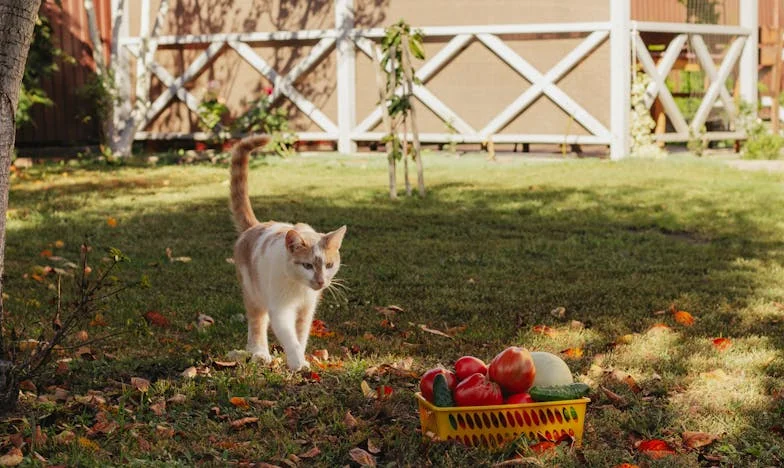 Nevítaný soused: Když hranice přestávají platit