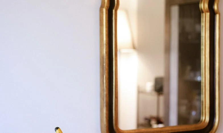 Nový začátek: Příběh o hledání domova