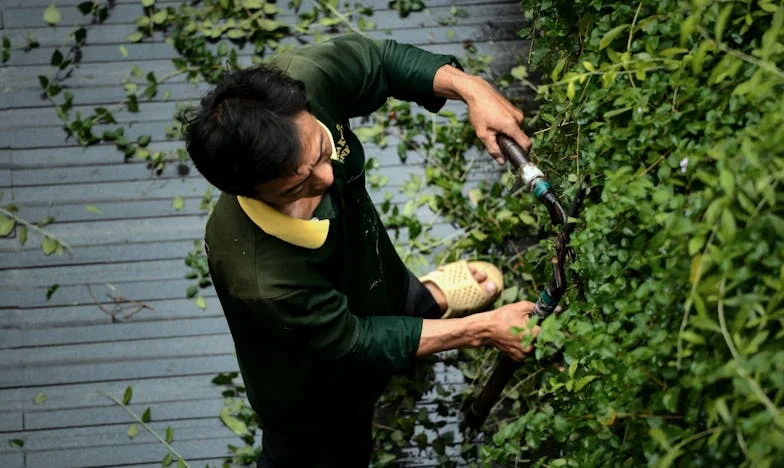 Odpusť mi, Sára – Příběh jedné české rodiny, která hledala cestu zpět k sobě