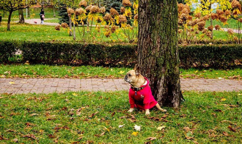 Po smrti tchyně se všechno změnilo. Měla jsem poslouchat mámu?