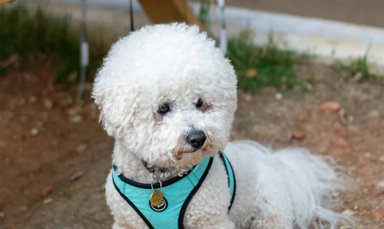 Porod, který změnil všechno: Moje boj o život a rodinu