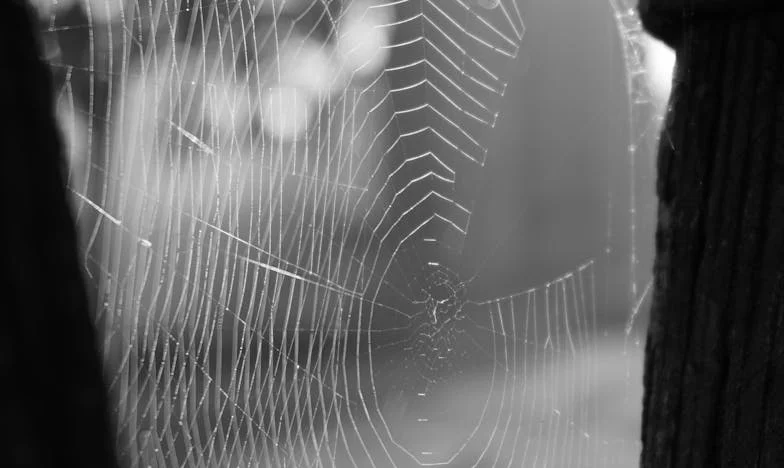 Proč jsi vstoupil do mého bytu, když jsem tam nebyla? – Tajemství a zrady v české rodině, které nikdo nečekal