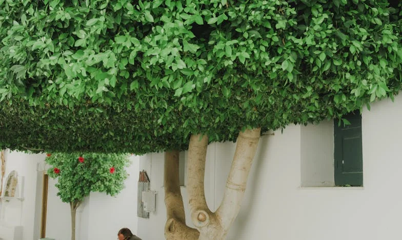 Proč potřebuješ další byt, když už máš čtyři?