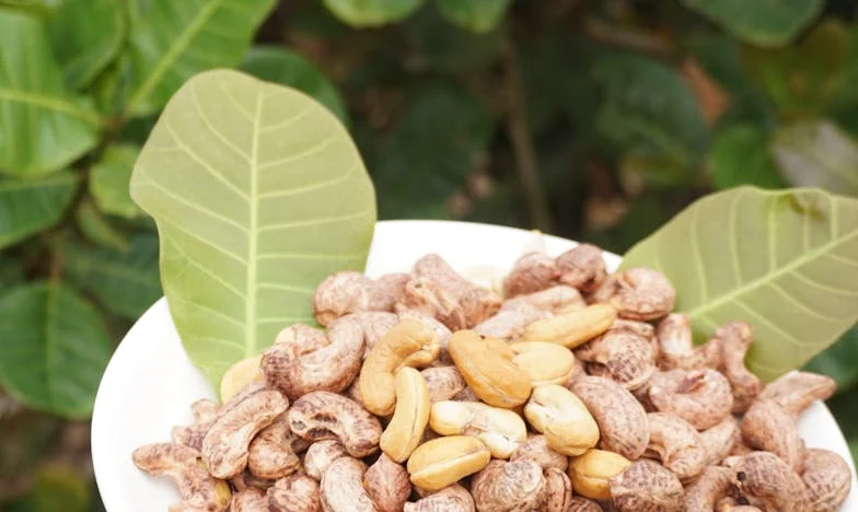 Tajemství, které roztrhlo naši rodinu – Jedna zima, jedna prosba, jedna lež