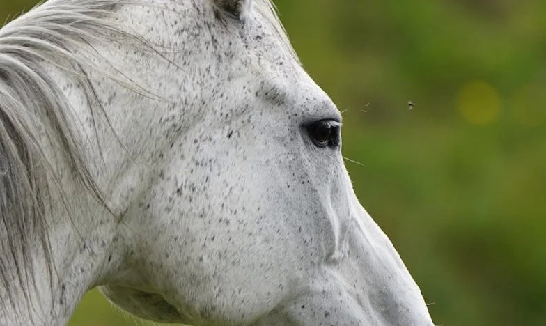 Tajemství mého švagra, které mi zlomilo srdce