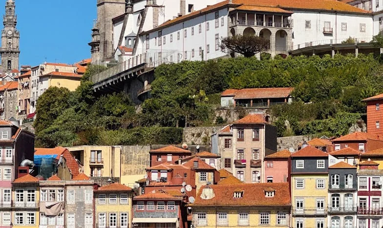 Už nikdy nechci slyšet její hlas: Příběh o tchyni, která zničila naši rodinu