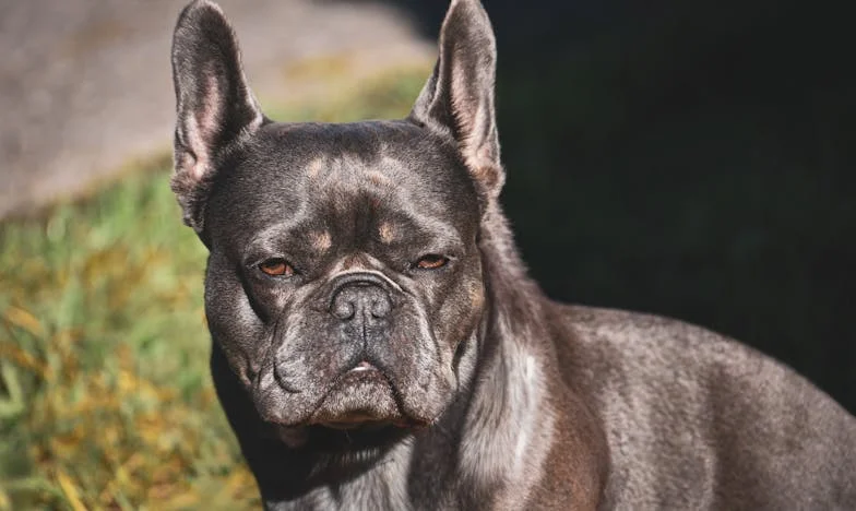 „Už pro tebe v mém životě není místo“: Když mi syn řekl, že jsem pro něj cizí