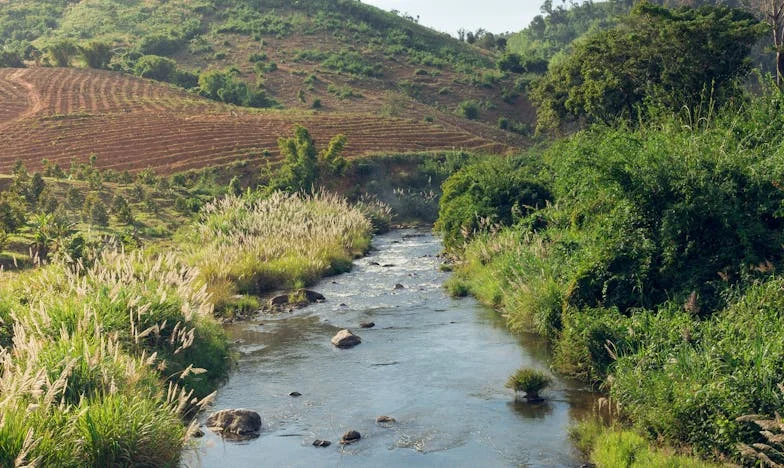 Ve stínu bratra – Příběh neodpustitelné zrady