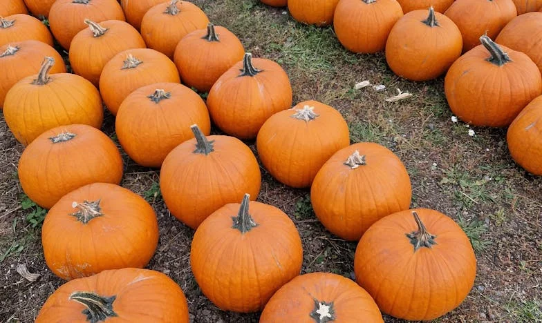 Víra mezi troskami: Jak jsem hledala sílu, když mě vlastní rodina obvinila