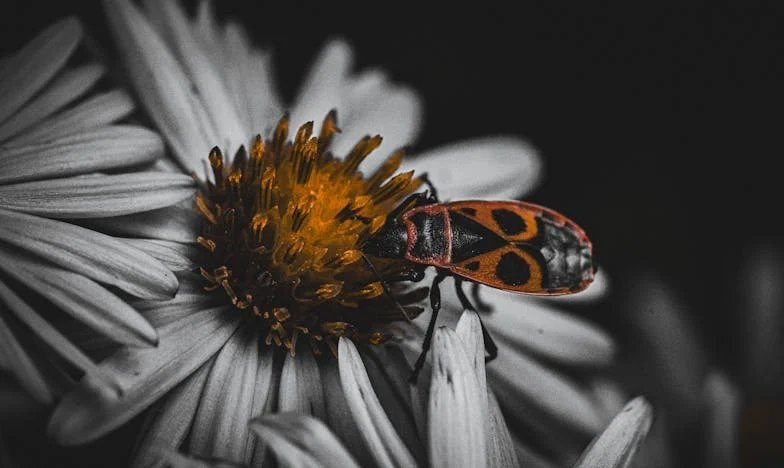 Žádné soukromí před vlastní dcerou: Když se máma znovu zamiluje