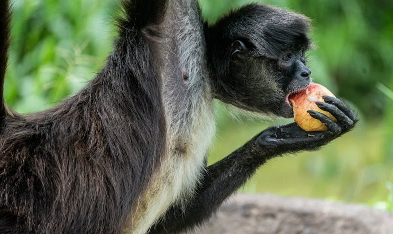 Zrazený vlastní matkou: Jak jsem přišel o dědictví i důvěru
