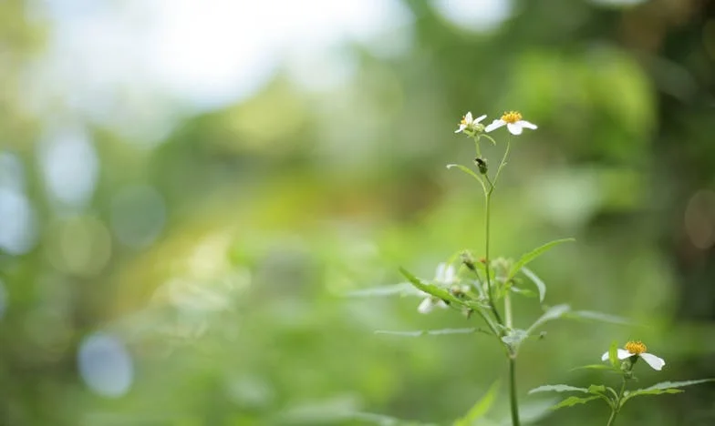 „Celý den nic neděláš“: Pravda o mateřství, kterou nikdo nechce slyšet