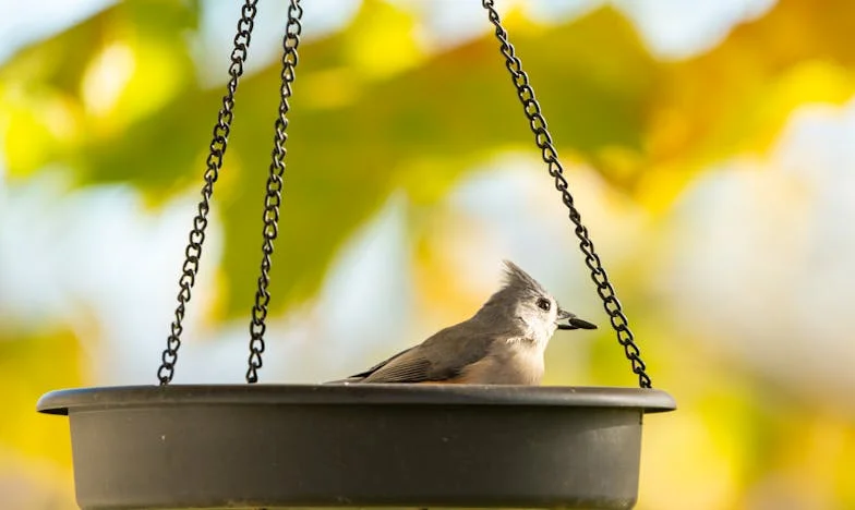 Dům, který nikomu nepatří: Příběh o domově, který se stal břemenem
