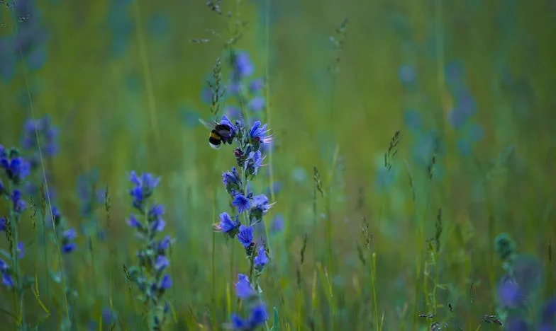 Jedno foto, tisíc slz: Jak jsem zjistila, že mě Petr roky podváděl