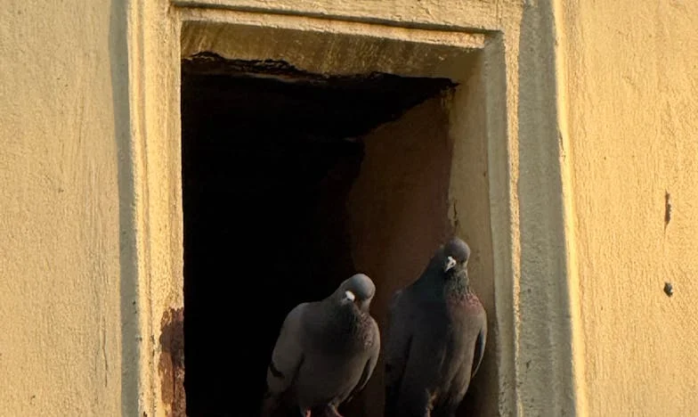 Když mi manžel přivedl milenku domů, zatímco naše dcera bojovala o život