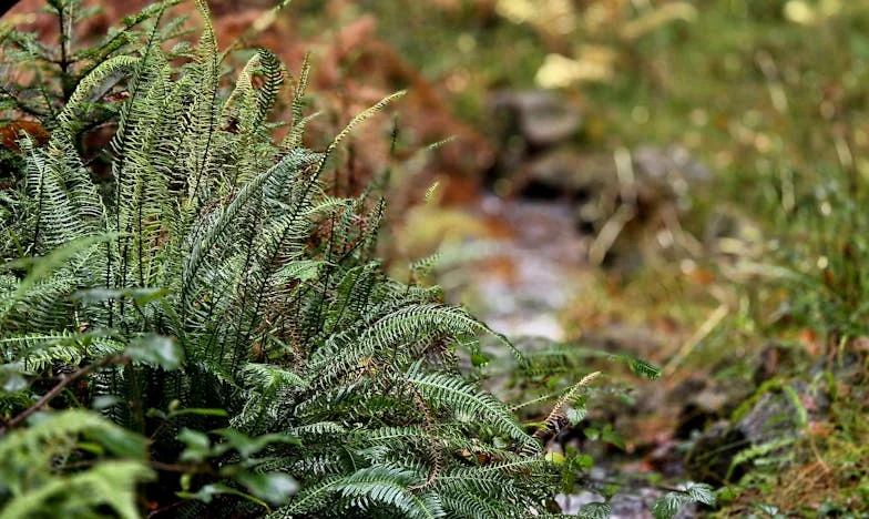 Když podzim přinese jaro: Příběh nečekaného dítěte
