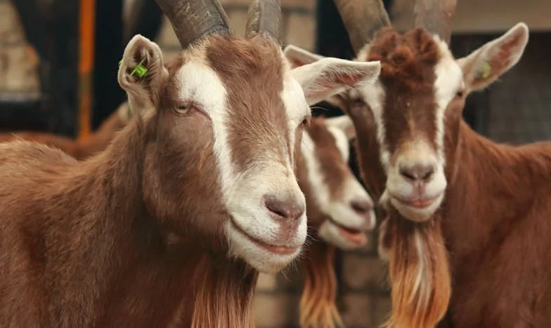 Když ti život nastaví záda: Příběh Jany, samoživitelky z Ostravy