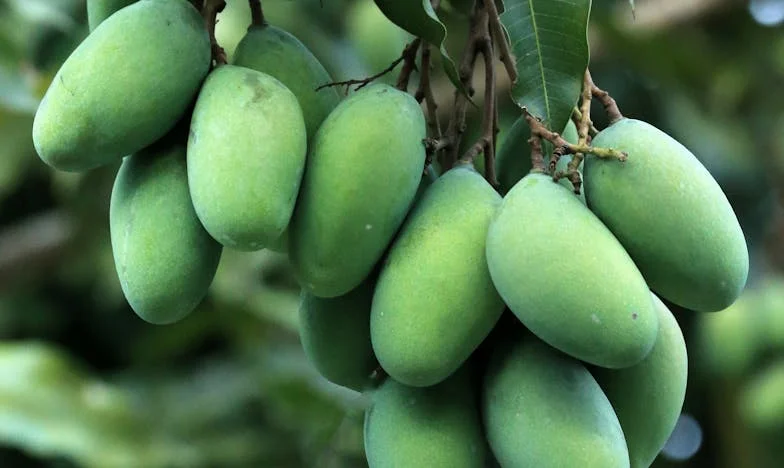 Když ticho křičí: Matčina podpora v temných chvílích