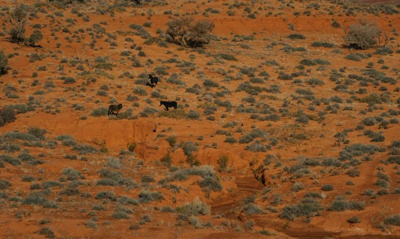 Kolik opravdu stojí máma?