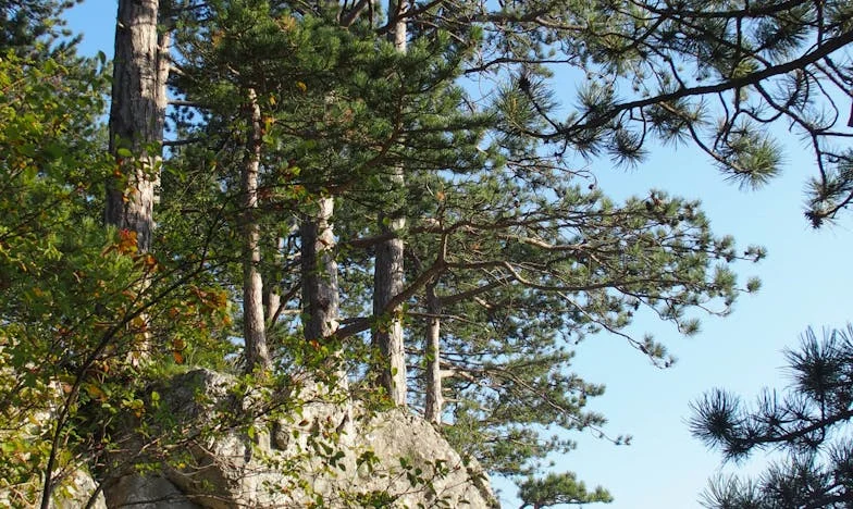 „Kvůli tobě sotva vyjdeme s penězi” – příběh o tom, jak matka dokáže zranit víc než život sám