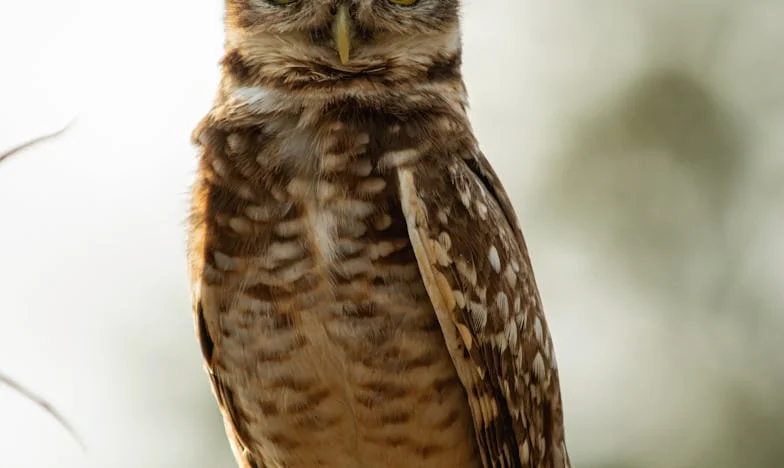 Máma odmítla tátu vidět, takže jsme Vánoce trávili odděleně. Jednoho dne jsem to už nevydržela.