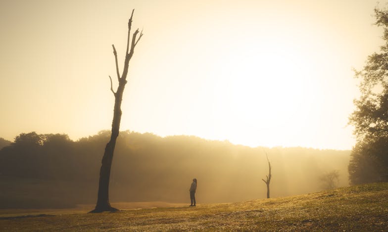 Matčina tajemství – Cena rodinného dědictví