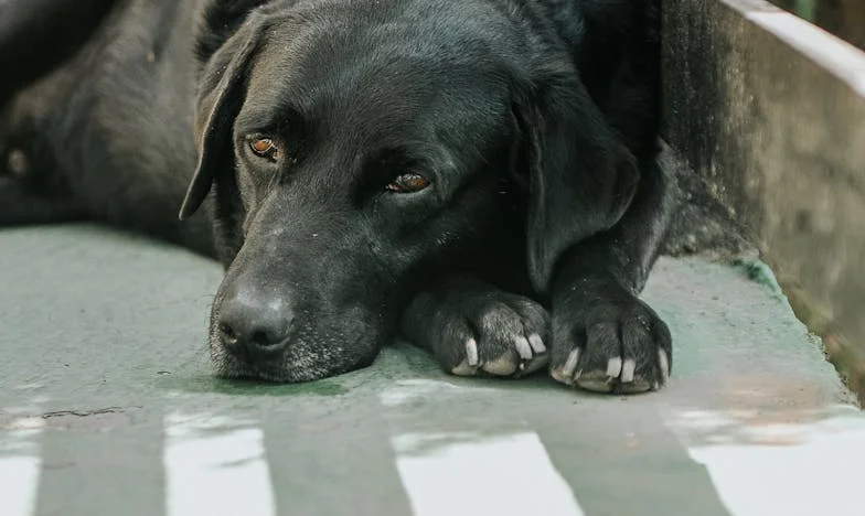 Mezi láskou a výčitkami: Křehké pouto k mé dceři