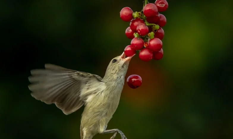 Moje rodina mě dusí: Jak jsme s Andreou řekli dost!