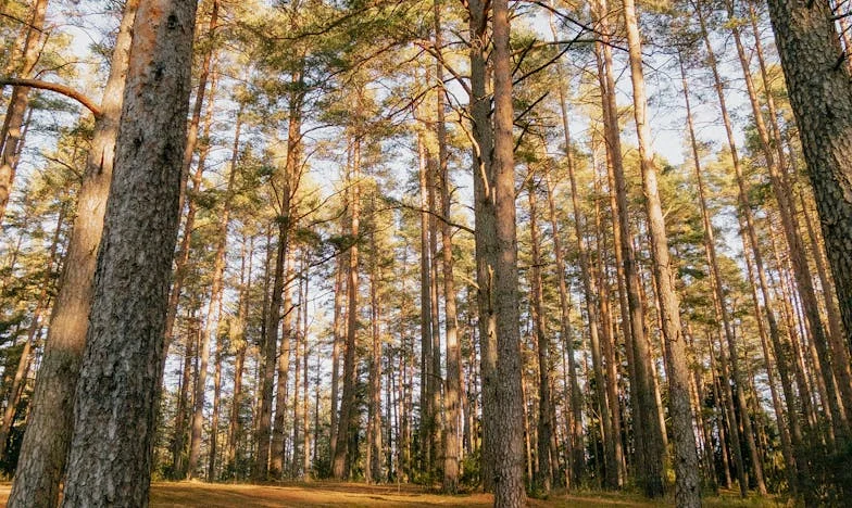 Můj manžel zapomněl na nás kvůli rodině svého zesnulého bratra