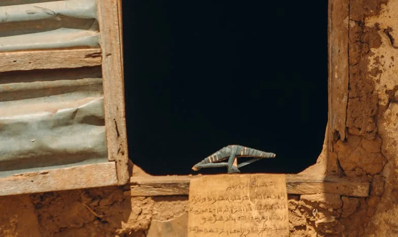 Můj plán pomsty: Nezapomenutelné léto v Českém Krumlově